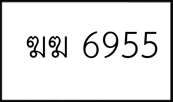 ฆฆ 6955